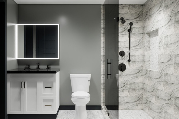 DNB2DP-Toilet-1-3D-Rendered