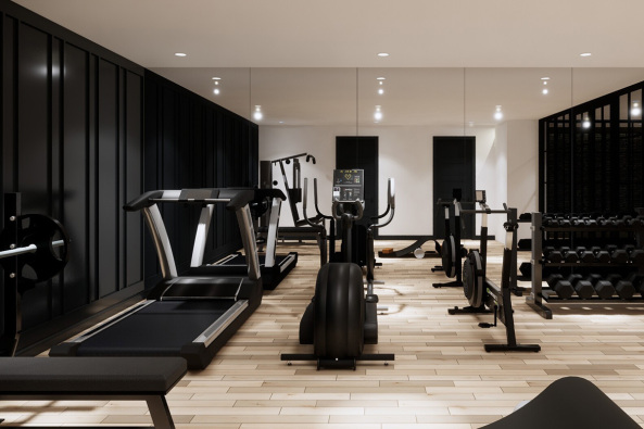 DNB1DP-Gym-3-3D-Rendered